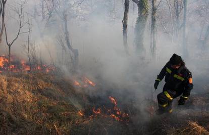 Izbio požar na 10 hektara Parka prirode Kopački rit