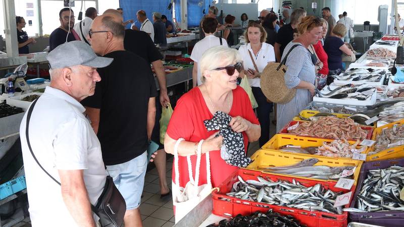 FOTO Šibenska ribarnica vrvi od svježeg ulova: Evo što je danas u ponudi i po kojim cijenama