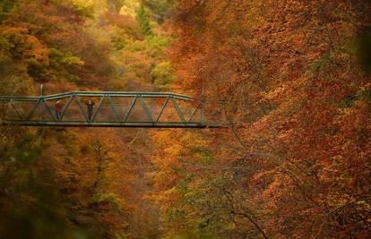 Fantastična jesen: Cijeli svijet uživa u šarenilu jesenskih boja