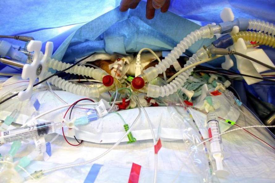 Department of Paediatric Surgery, Bern University Hospital