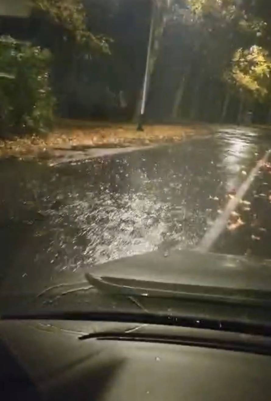 Strašno nevrijeme pogodilo je Zagreb, jak vjetar čupao stabla: 'Oštećeno je i nekoliko auta'