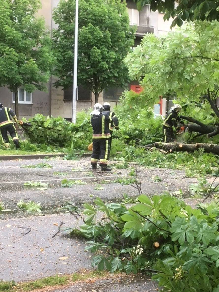 Vatrogasci rade od ranog jutra: Vjetar srušio stablo na cestu...