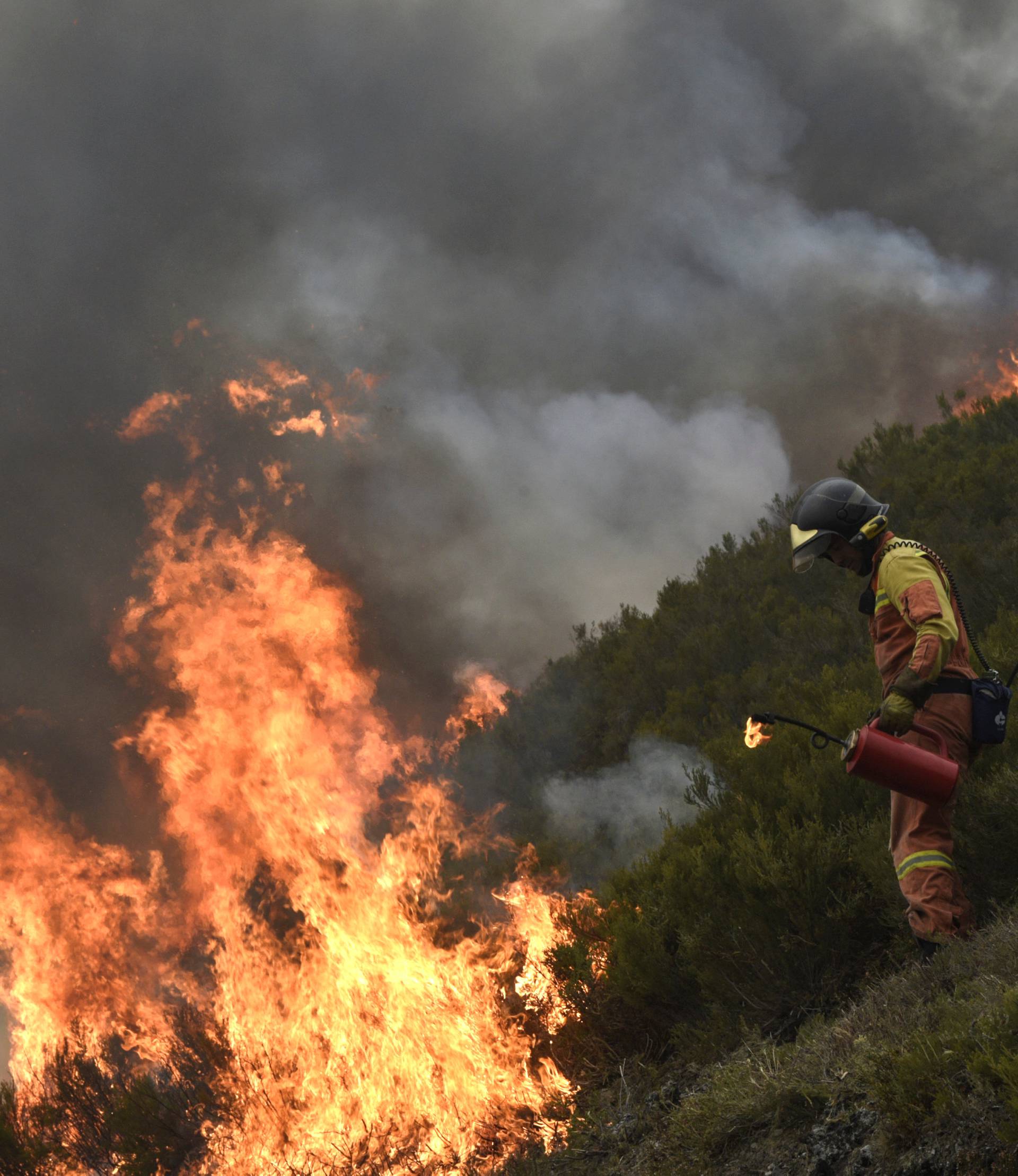 A firefighter builds a firewall in Tablado, near Muniellos park, Asturias
