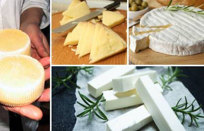 Veliki vodič kroz sireve: Ricotta je ukusna na tostu s medom, a  u umake stavite gorgonzolu