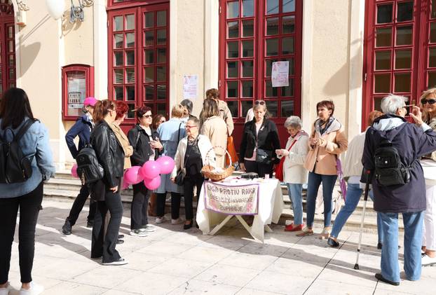 Šibenik: 25. Dan ružičaste vrpce obilježen ispred kazališta edukativnim materijalom i ružičastim vrpcama