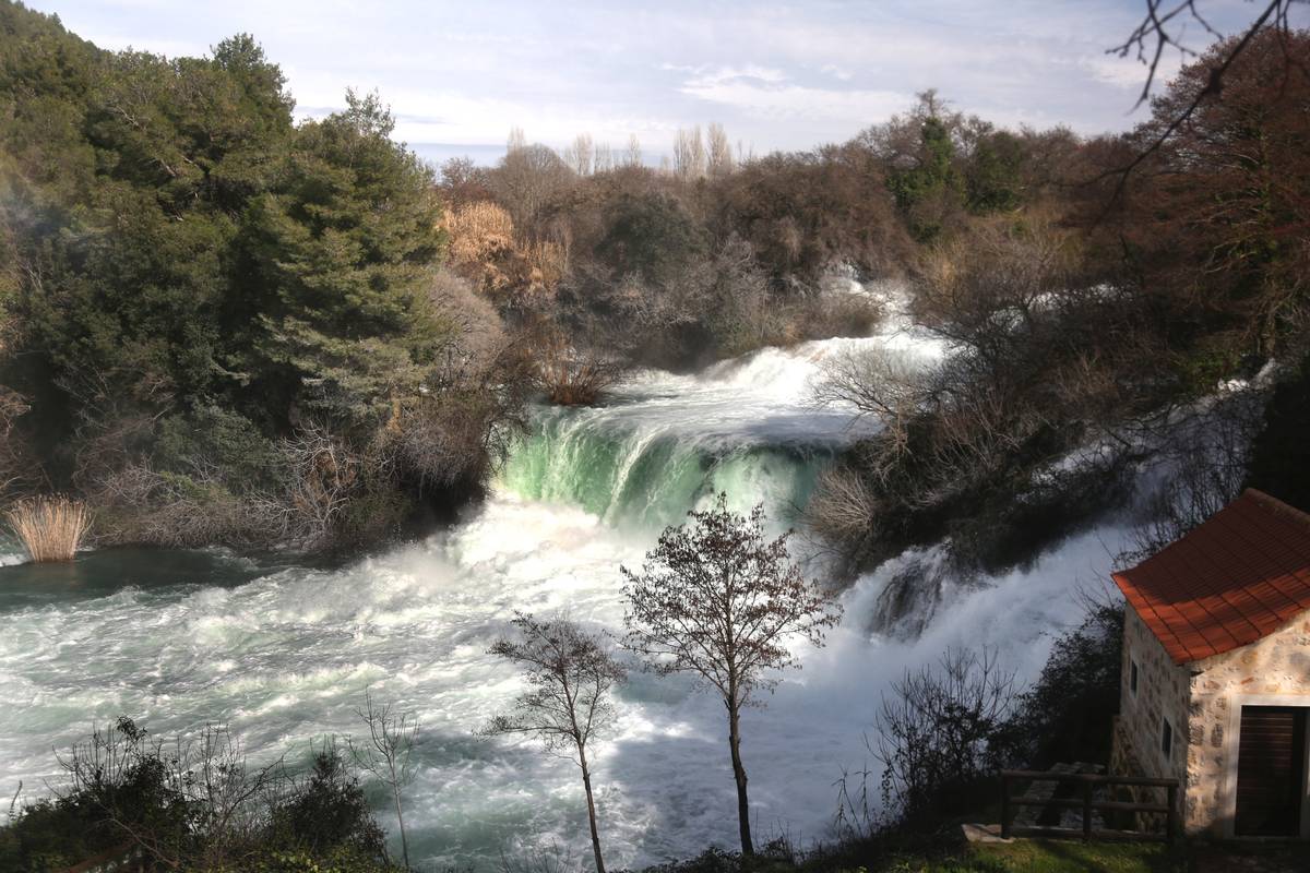 U NP Krka živi 43 vrste vretenca - oni su dokaz da je priroda čista
