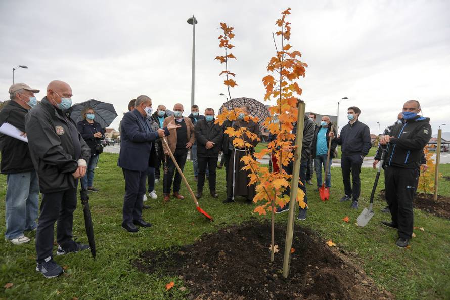 Zagreb: Oko crkve BDM Anđeoske u Dubravi zasađeno je 250 mladih stabala