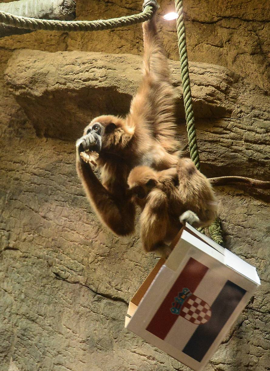 Gibon Kent predvidio pobjedu Hrvatske: Danas nije oklijevao