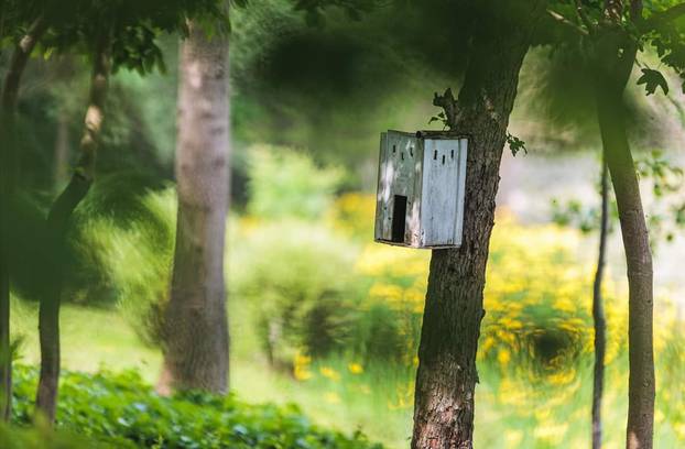 Savršeno mjesto za bijeg: Kuća na jezeru u srcu Lonjskog polja