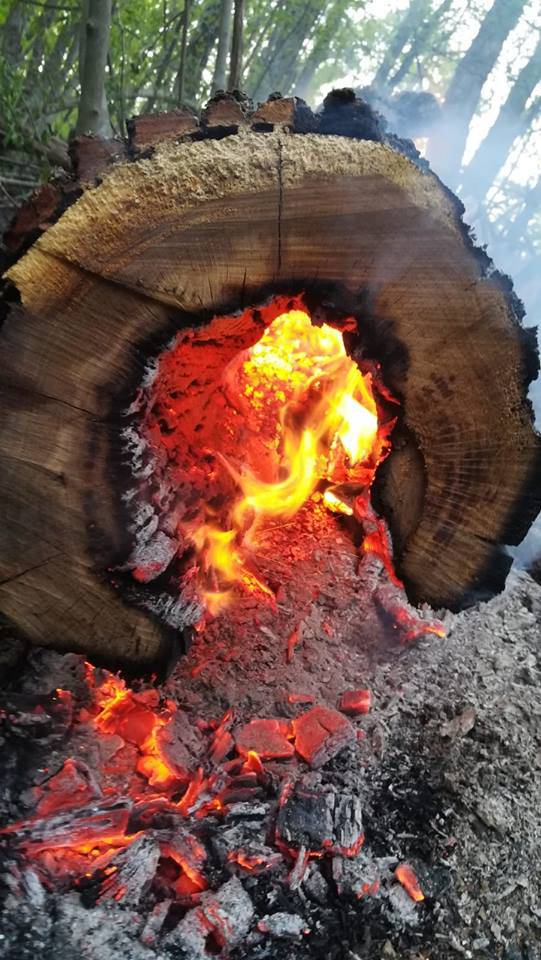 Kriv je piroman? Vatrogasci su gasili tri požara na Medvednici