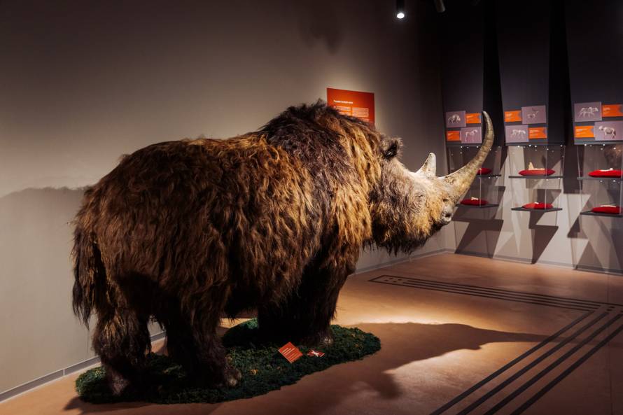 Otkrijte tajne podzemlja - interpretacijski centar blizu Plitvica otvoren je cijelu godinu