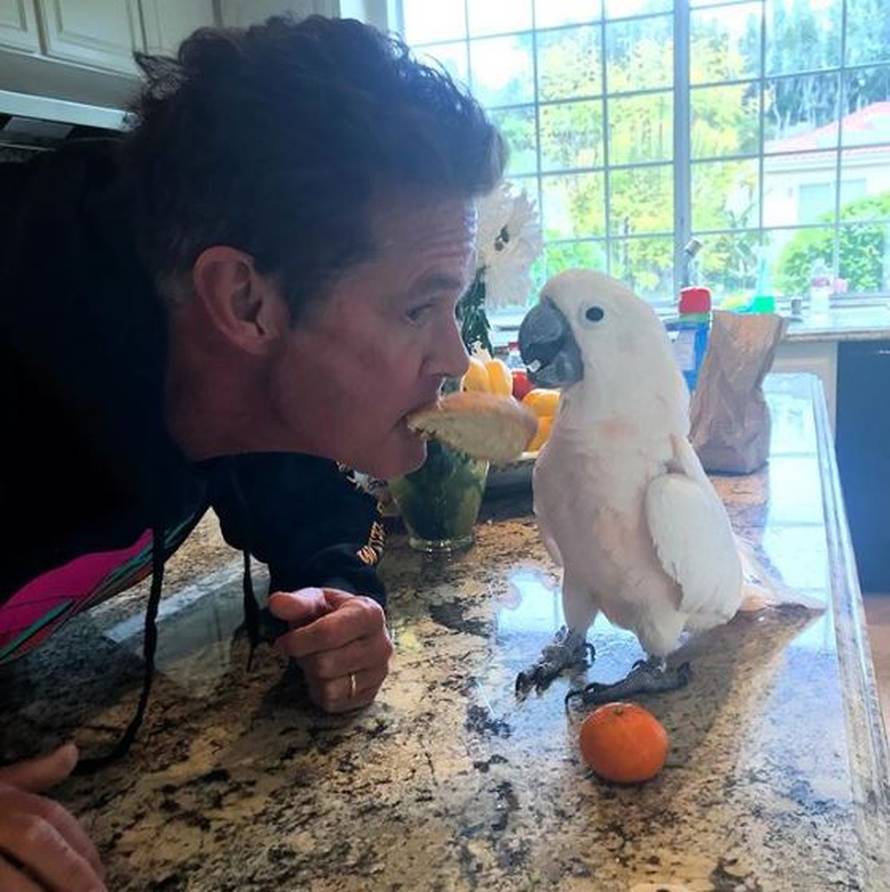 David Hasselhoff: Svake godine ću obnavljati vjenčane zavjete