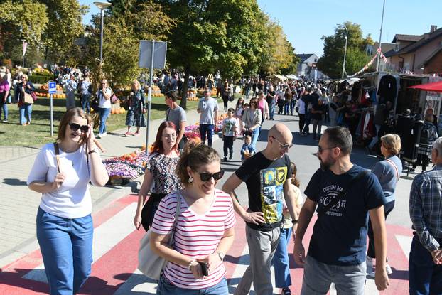 Ivanić Grad: Gastro manifestacija 'Bučijada u centru Ivanić Grada'