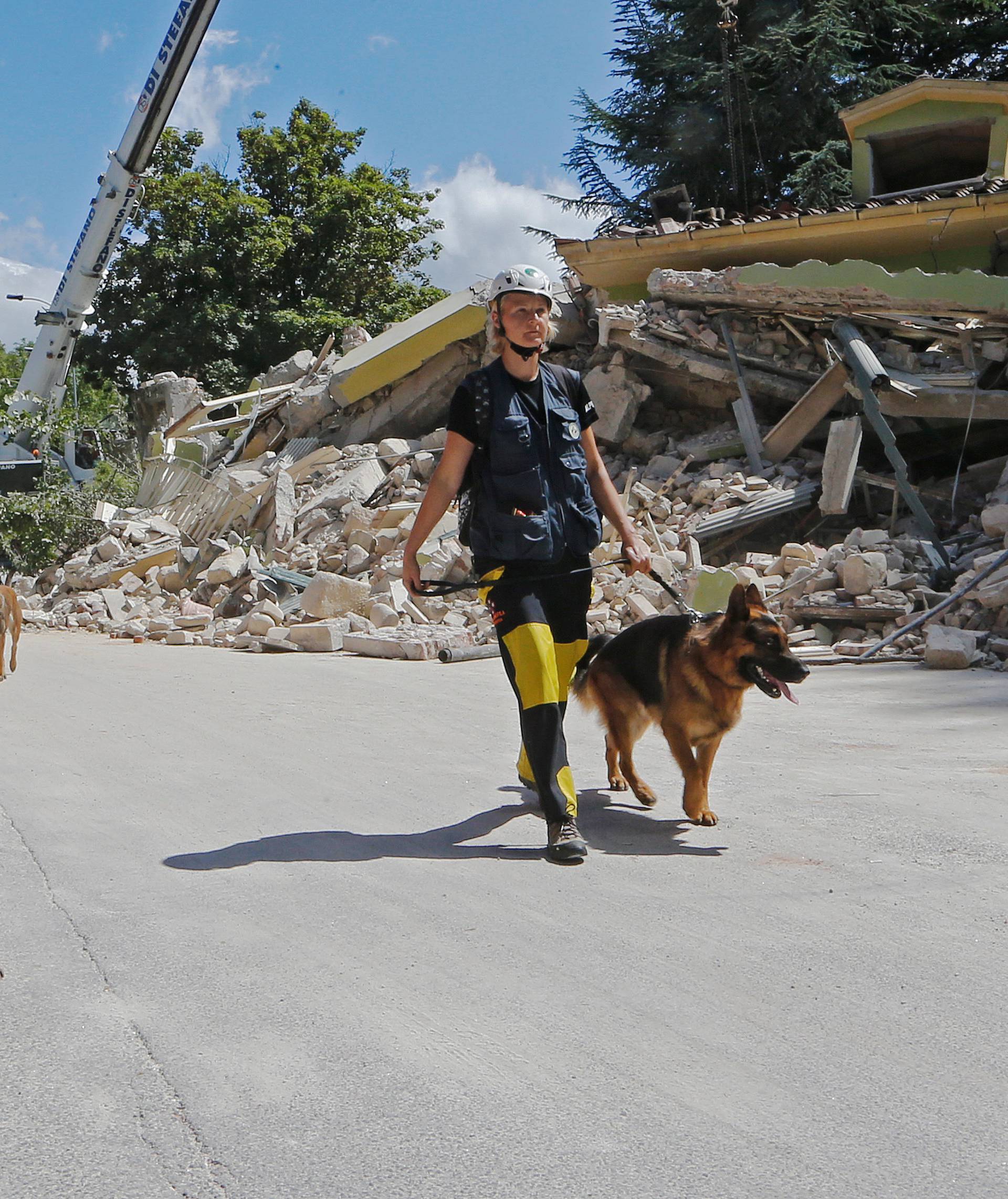 Rescuers walk with dogs following an earthquake in Amatrice