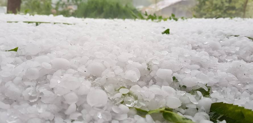 Kumrovec se zabijelio: 'Palo je toliko tuče... Ovo sve u samo pola sata! Vrt nam je uništen'