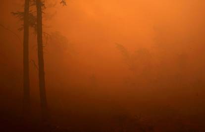 Pakao u Rusiji: Gori više od 250 šumskih požara, uništeno preko 1,3 milijuna hektara zemlje