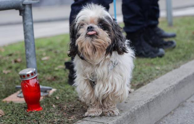Vukovar: Kolona sjećanja prolazi pored Vodotornja