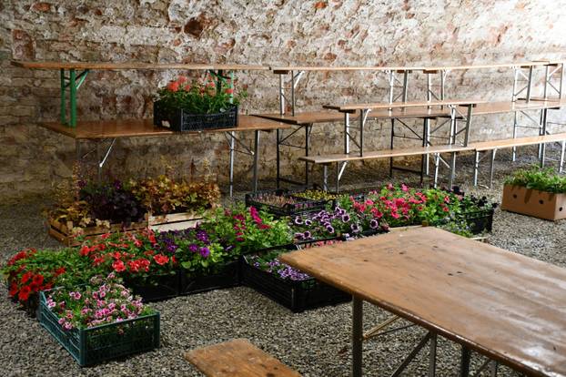 FOTO Sve je šareno i veselo! Brođane čeka sajam cvijeća