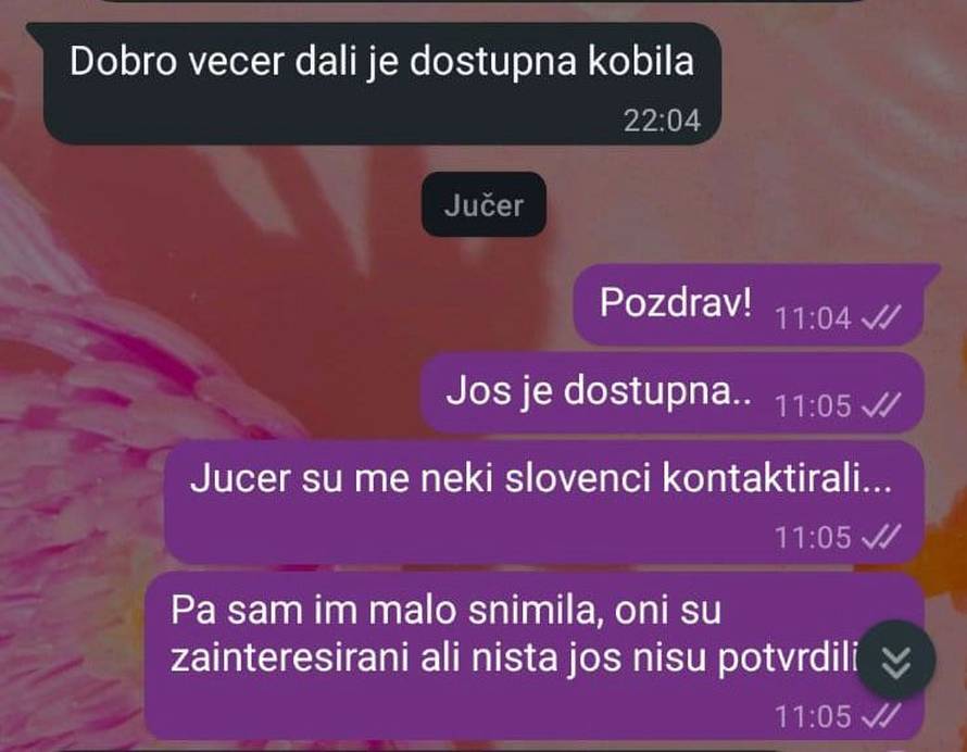 UŽAS U HRVATSKOJ! Htjela je prodati kobilu, pa dobila ponudu: 'Znate što je animal?'
