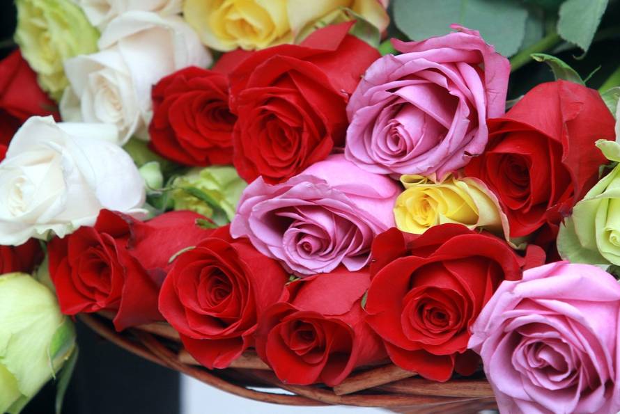 Marko Jurinec/Pixsell