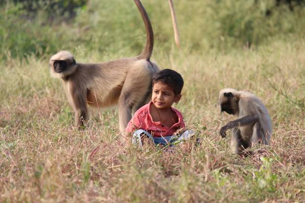 TODDLER BEFRIENDS MONKEY TRIBE