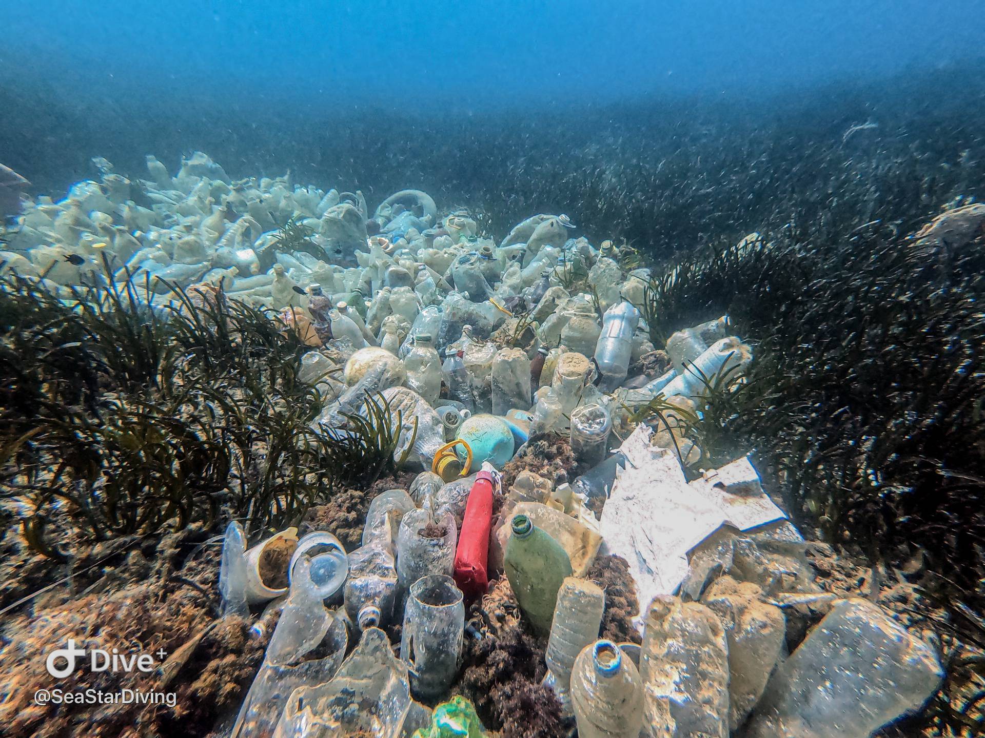 Dramatični prizori: Podmorje nam ubija plastika iz susjedstva