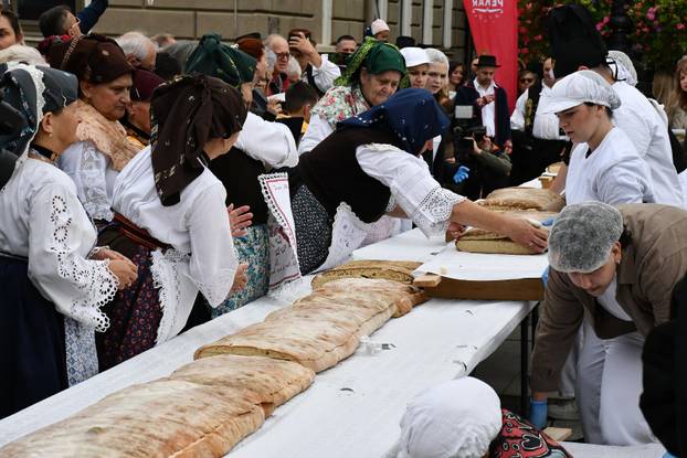 FOTO Slavonski Brod oborio rekord: Na Pogačafestu ispekli pogaču dugačku 20 metara!