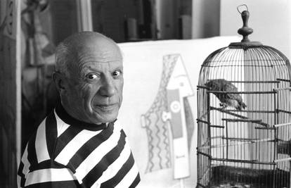 Nestalo 12 umjetničkih djela: Među njima i Picassove slike