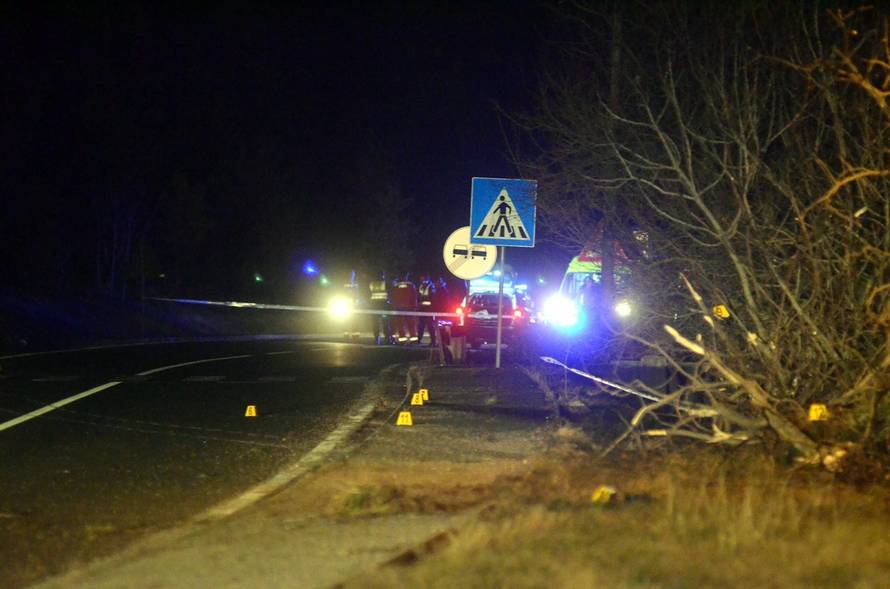 Užas kod Buzeta: Prevrtali se, mladić ispao iz auta i poginuo