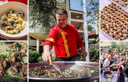 Spužarica je jedinstvena gastro fešta u Vrgorcu: Od puževa iz vinograda rade najfiniju fritaju