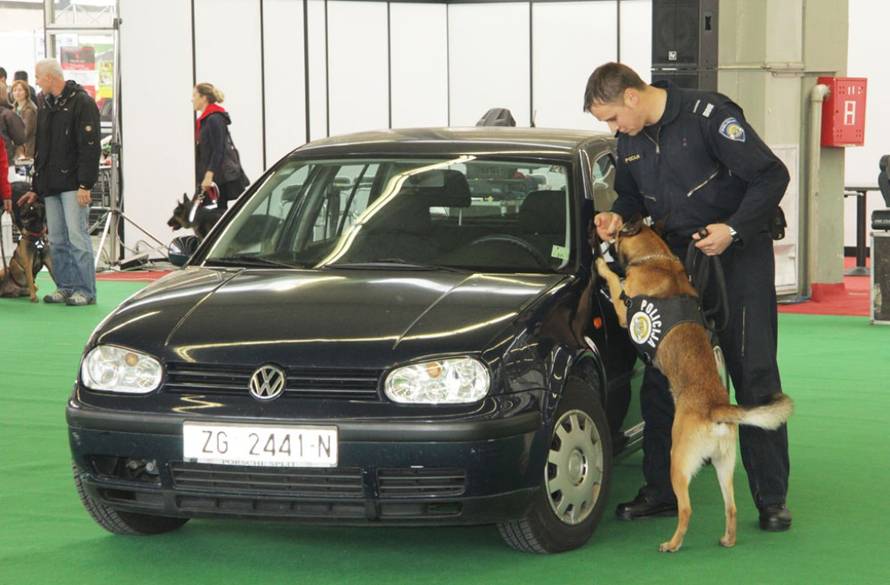 Hrvatski kinološki savez