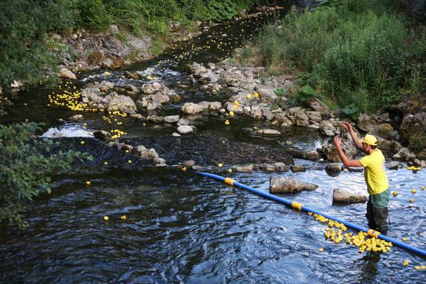 Čabar: Utrka 1600 gumenih patkica