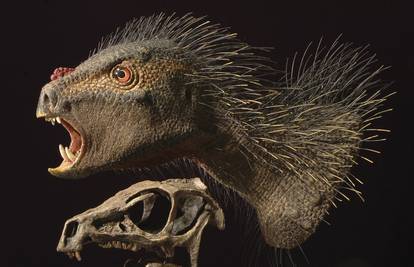 Dinosaur s vampirskim zubima i opakog lica volio je jesti biljke