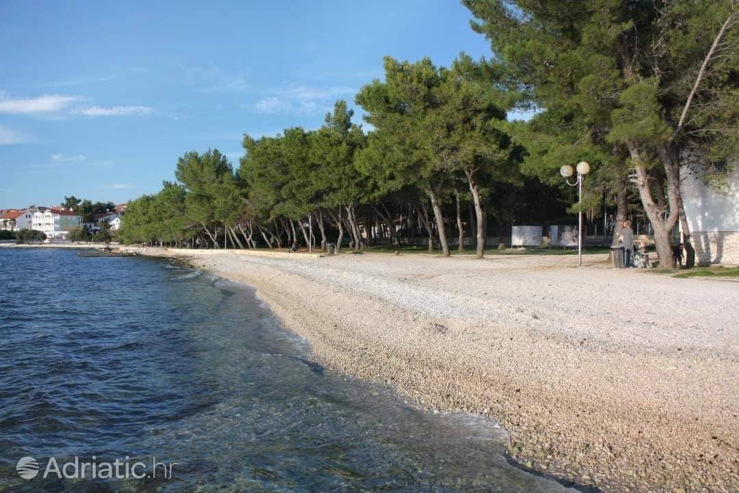 Uništili borovu šumu, jer grade hotel: 'Sve moraju vratiti u prijašnje stanje u roku odmah!'