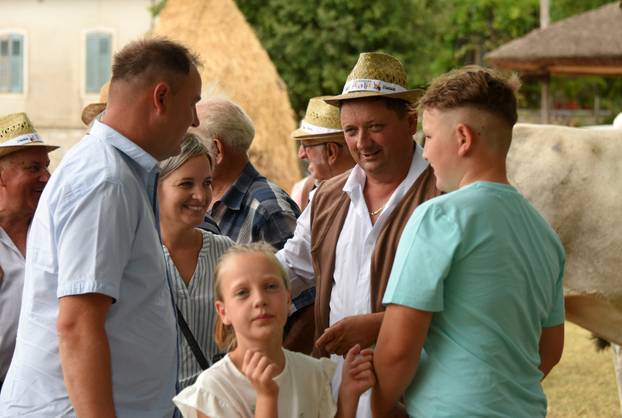 Kanfanar: 35. smotra istarskog boškarina