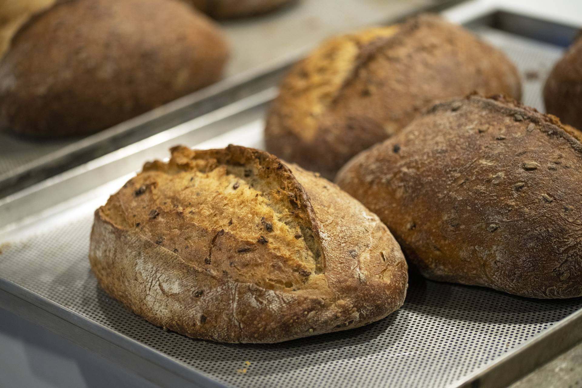 Zagreb, 01.03.2024 - Ana Brodjanac autorica prvog industrijskog sourdough kruha