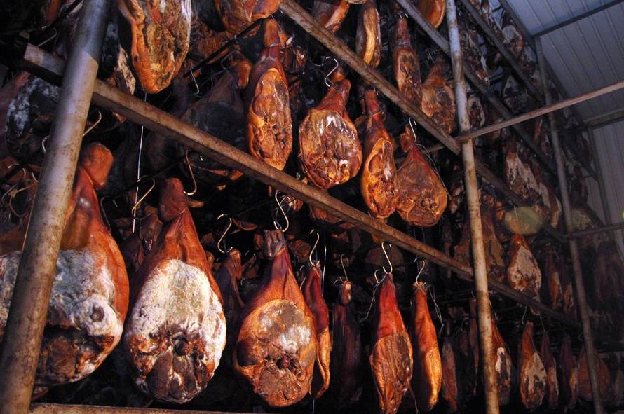 Duško Jaramaz/Pixsell