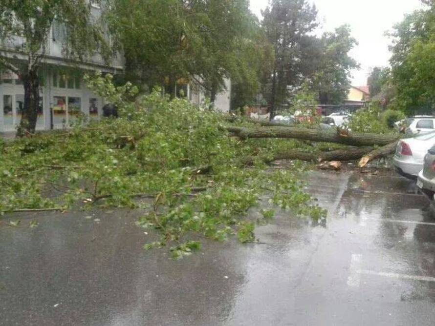 Čitatelj 24sata