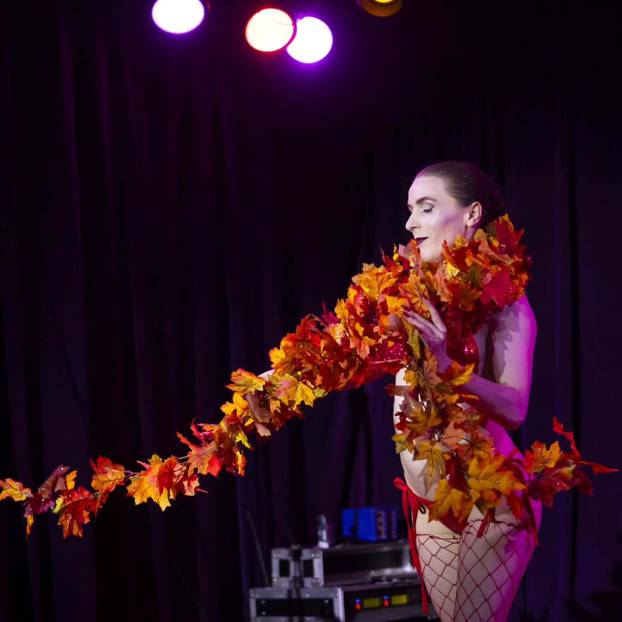 FOTO Ona je najbolja irska pole dance plesačica: Pogledajte što sve može sa svojim tijelom...