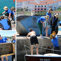Ekoakcija na Šolti: Volonteri zasukali rukave pa očistili plažu i podmorje. 'Svi su tili dat ruke'