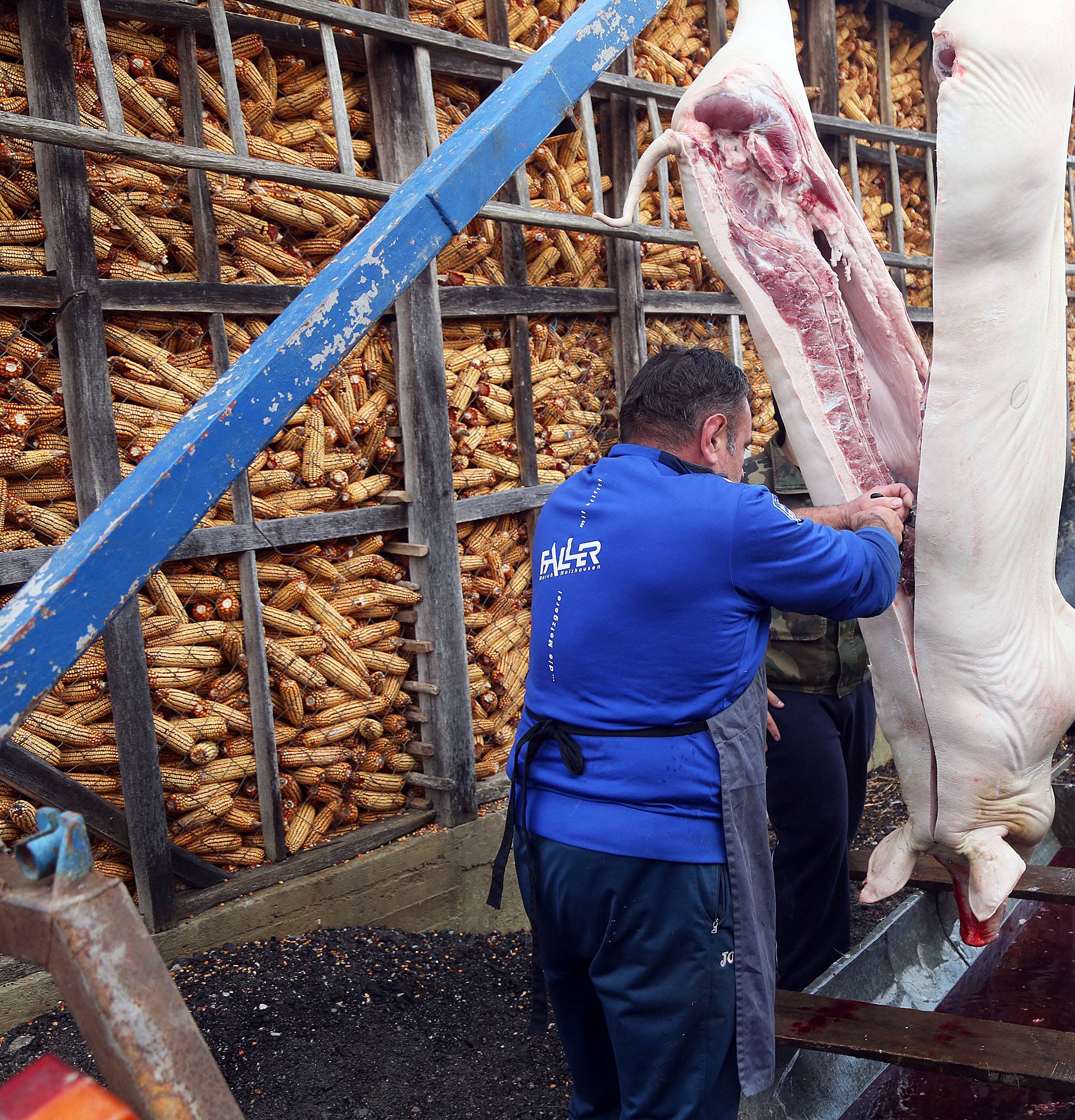 Svinjokolja nekoć bila događaj godine: 'Gadi im se, a jeli bi...'