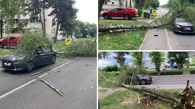 Vjetar ruši stabla u Zagrebu: 'Palo mi je pred očima, moglo je i na mene. Vozač auta je dobro'