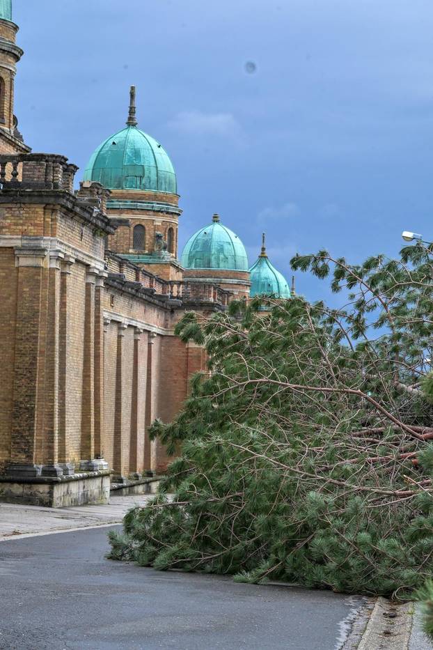 Zagreb: U nevremenu teško  oštećeno gradsko groblje Mirogoj
