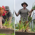 VIDEO 'Farmer Beckham' brao luk, a onda mu je u kadar uletio neočekivani gost: 'Ovo je hit!'