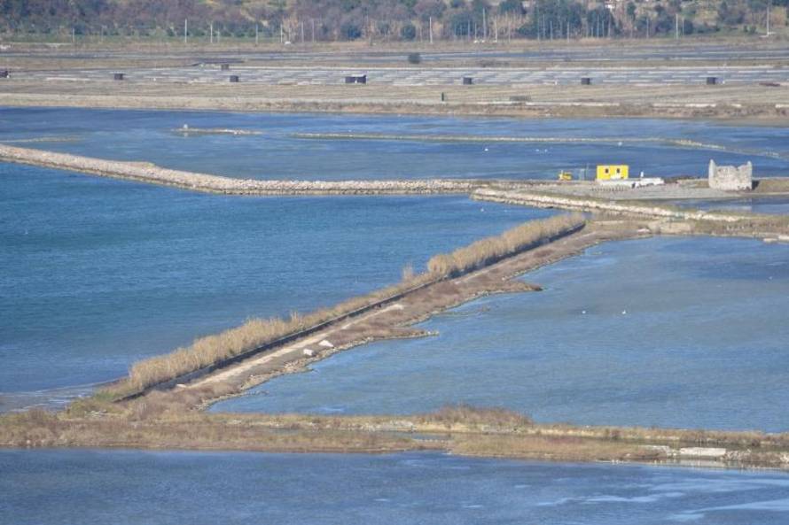 Duško Marušić/PIXSELL