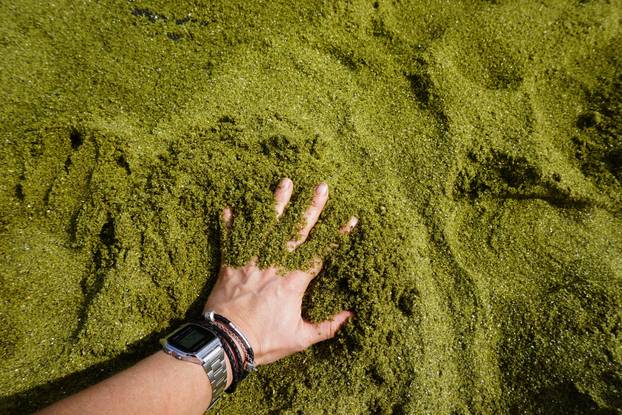 FOTO Da ovo postoji! Pogledajte prekrasne plaže s crnim, zelenim, ružičastim pijeskom..