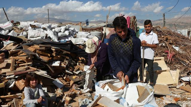 Syrian refugees fill bags with scrap wood at an informal camp in the Bekaa Valley