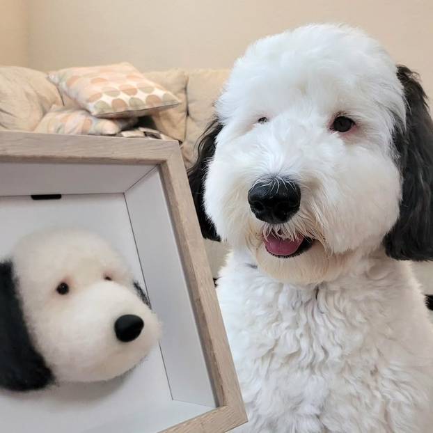 FOTO Ovaj pas je hit: Neodoljivo sliči na popularnog Snoopyja!