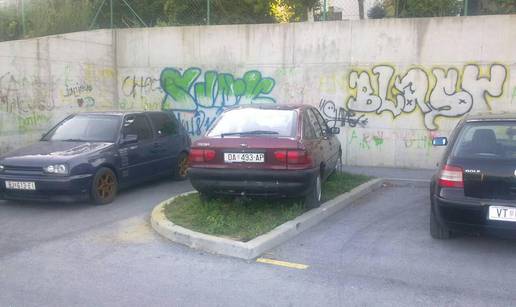 Umjesto na poluprazni parking, parkirao auto na travu