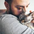 Veterinar: 2 najbolja načina za držati mačke - one ih obožavaju